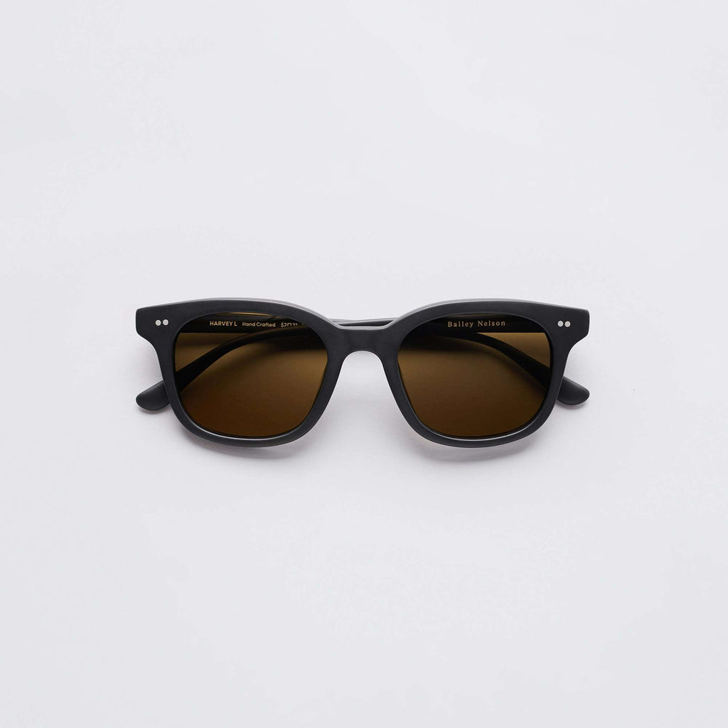 Harvey Large Sunglasses